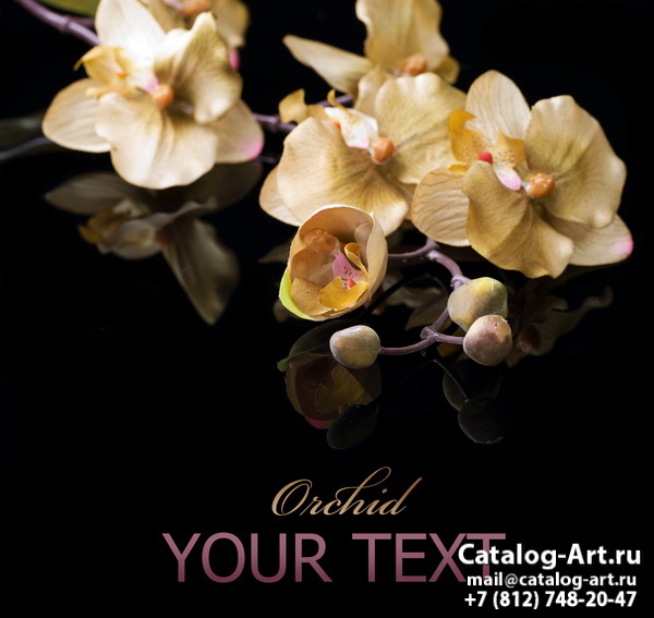 Натяжные потолки с фотопечатью - Желтые и бежевые орхидеи 13
